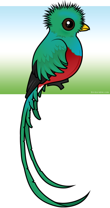 Quetzal Clipart Baby - Clip Art Quetzal (360x680), Png Download