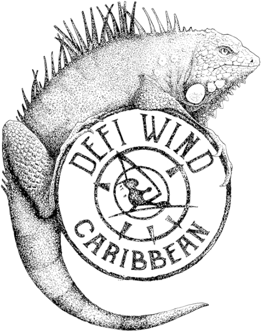 Iguana Bloc010 1 - Defi Wind 2017 (552x705), Png Download