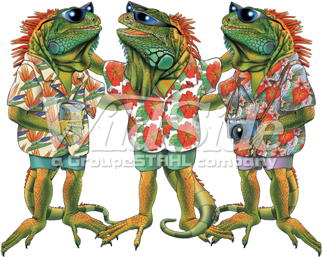 3 Iguanas - Iguana (525x525), Png Download