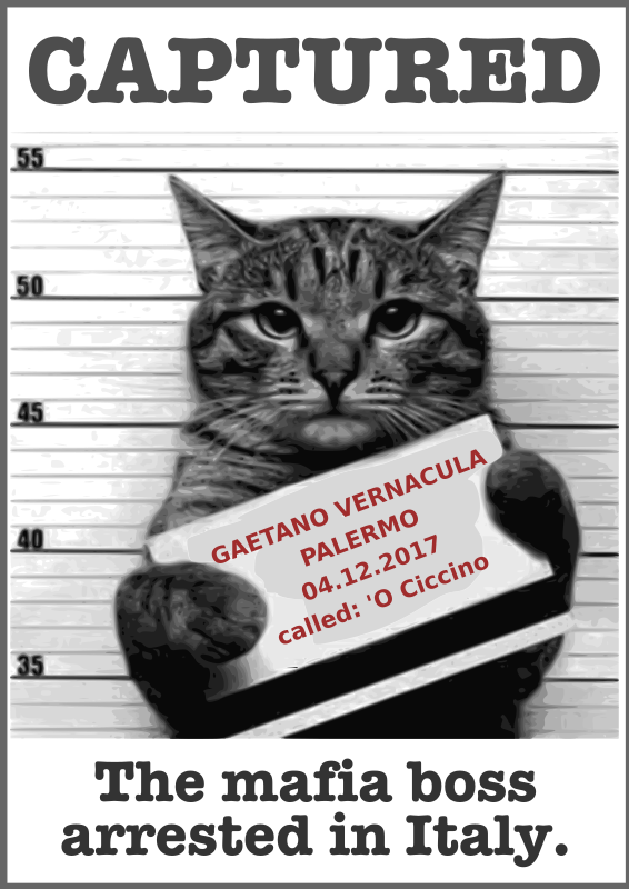 Medium Image - Christmas Cute Animals Funny (566x800), Png Download