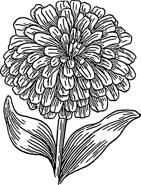 Full Hydrangea Flower Svg Clip Arts 456 X 599 Px (456x599), Png Download