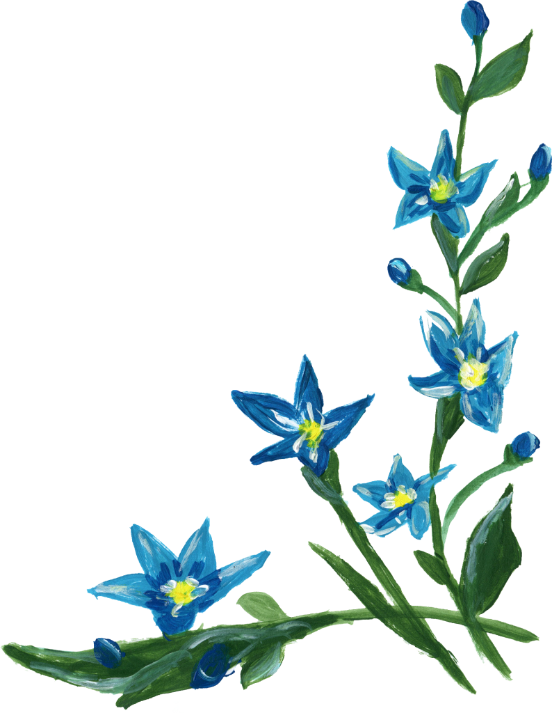 9 Flower Corner Png Transpa Onlygfx - Transparent Png Blue Flowers (794x1024), Png Download