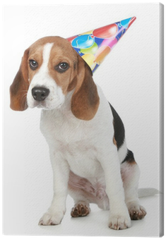 Beagle Puppy With Birthday Party Hat Canvas Print • - Happy Birthday Pet Beagle (400x400), Png Download
