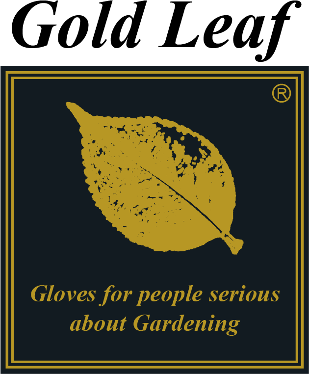 World Renowned Gold Leaf Gloves Are Presented By Jayco, - Knight Piesold (678x804), Png Download