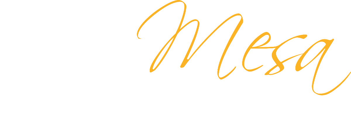 We Are Mesa The Leading College Of Equity And Excellence - Mari (1200x423), Png Download