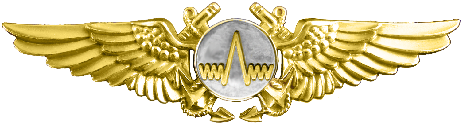 Naval Aviation Observer Insignia - Naval Aviator Badge Navy (1508x409), Png Download