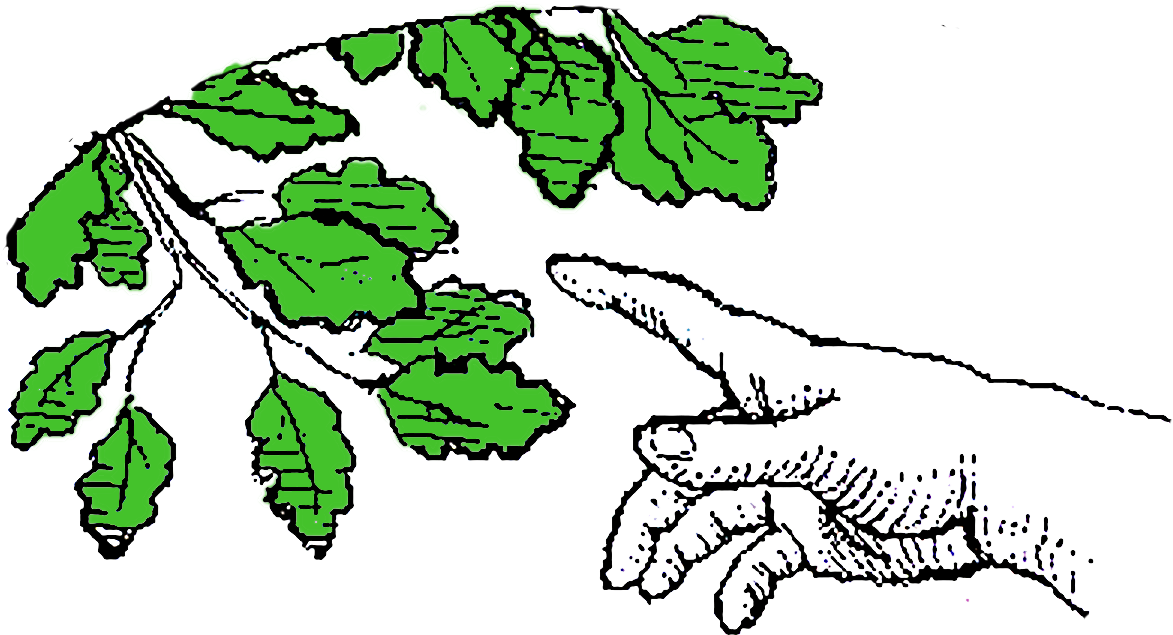 Illustration (1364x865), Png Download