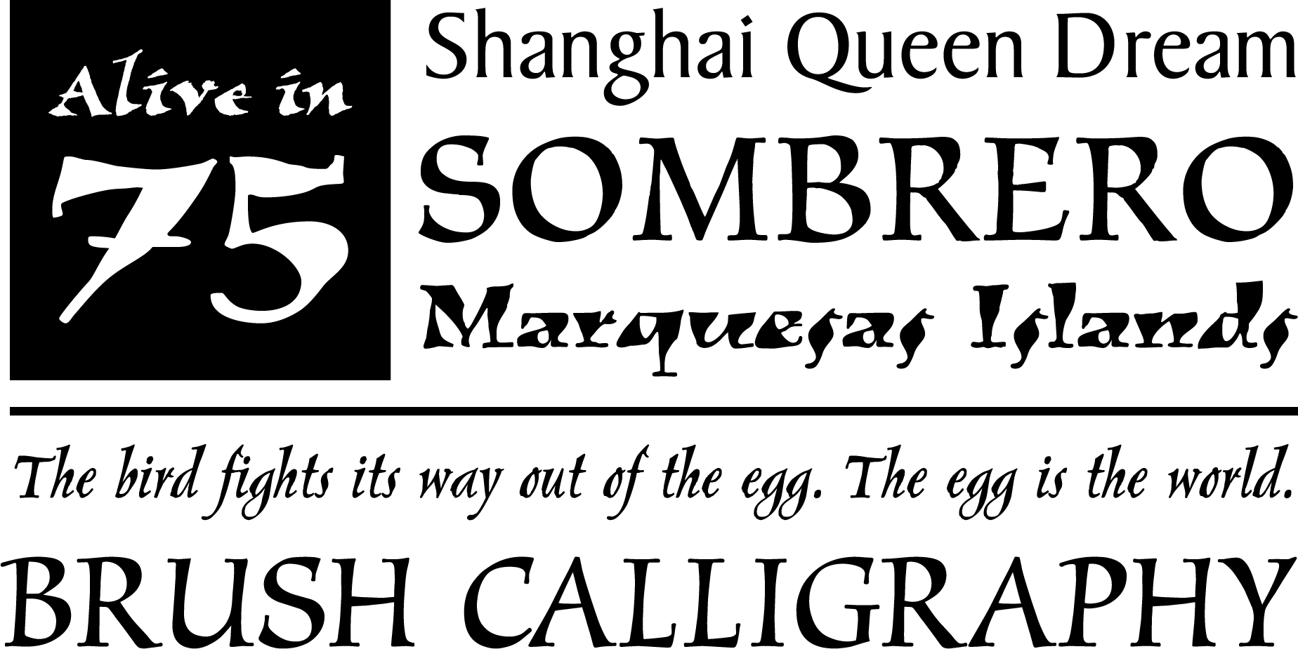 Web Typography Essentials (1848x925), Png Download