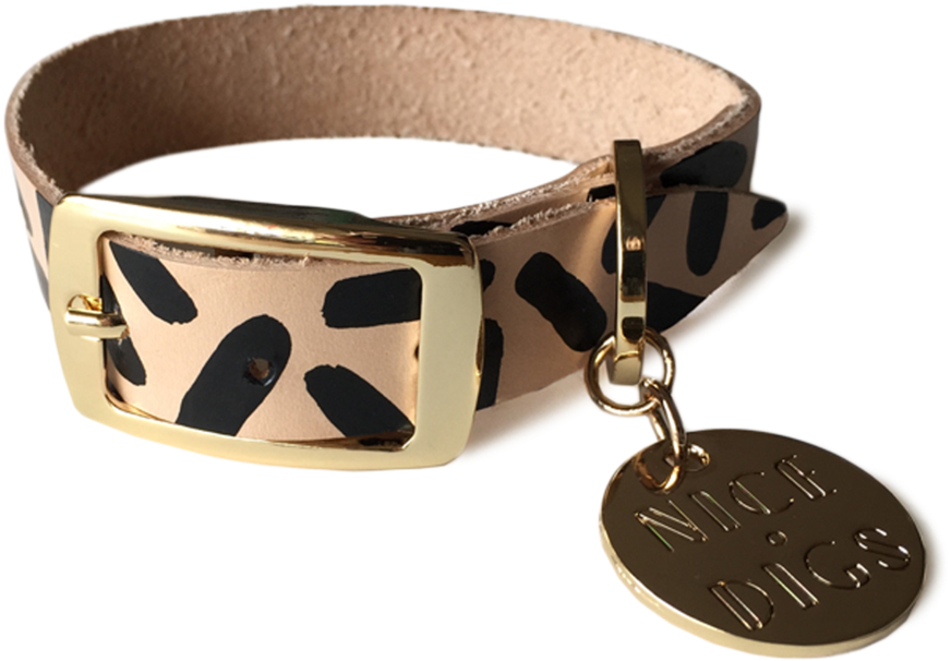 Tiggy Collar - Nice Digs Dog Collar (1024x1024), Png Download