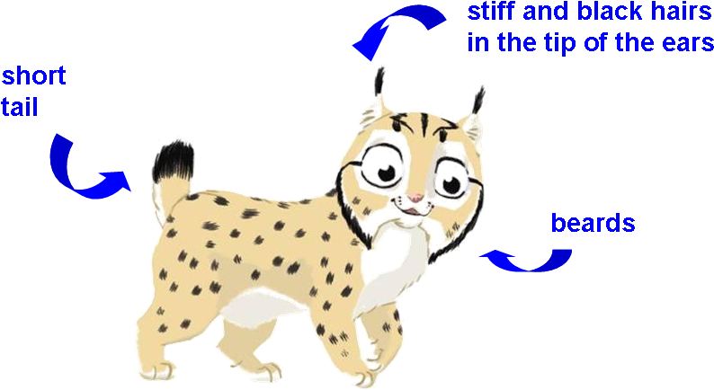 Cartoon (824x449), Png Download