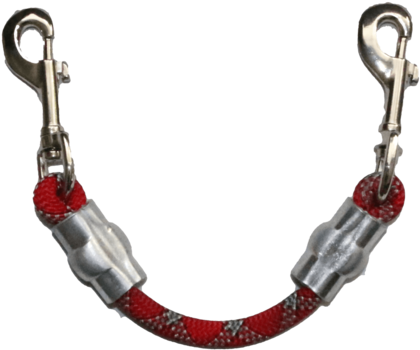 Secondary Leash To Collar/harness Attachment - Earrings (700x540), Png Download