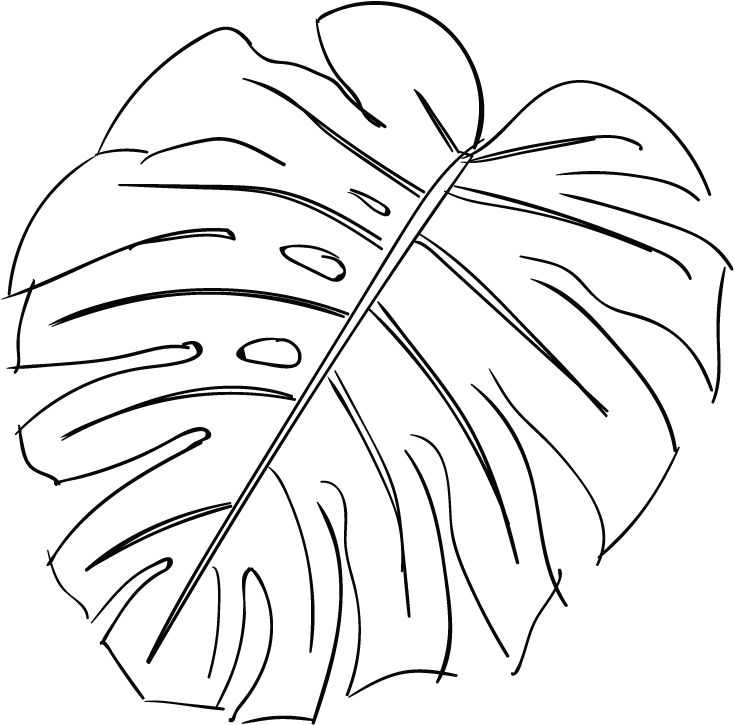 Line Drawing Of A Leaf At Getdrawings - Line Art (830x821), Png Download