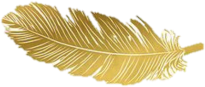 Gold Feather Feathers Native Boho Pretty Decals Decor - Gold (1024x819), Png Download