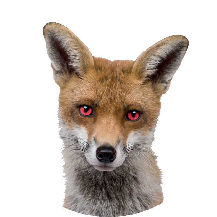 Devil Eyes Png (735x730), Png Download