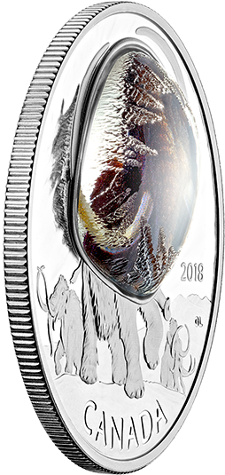 Pure Silver Coloured Coin Frozen In Ice - Silver (570x570), Png Download