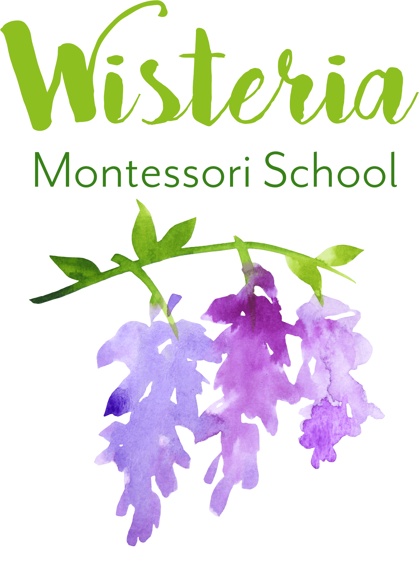 Welcome To Wisteria Montessori School, A Wildflower - Bellflower (1963x2411), Png Download