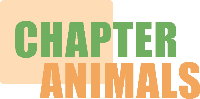 Tv Oyten Vampires (819x536), Png Download