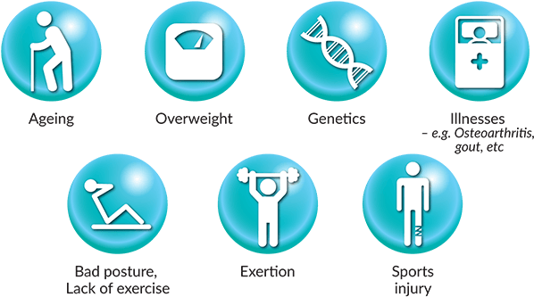 Comon Causes Of Joint Pain - Circle (1000x339), Png Download