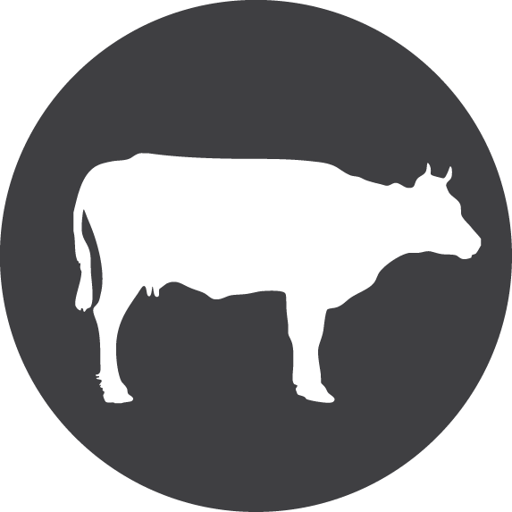 Icon - Beef Cow Icon (573x573), Png Download