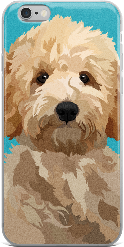 Magnolia The Goldendoodle (1000x1000), Png Download