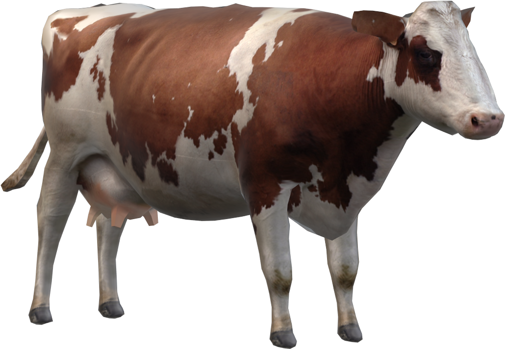 Cow - Dairy Cow (1158x869), Png Download