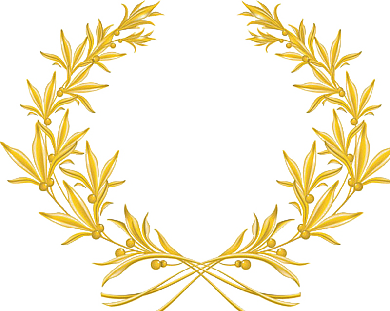 Image Royalty Free Download Golden Vector Olive Branch - Gold Olive Branch Png (800x637), Png Download