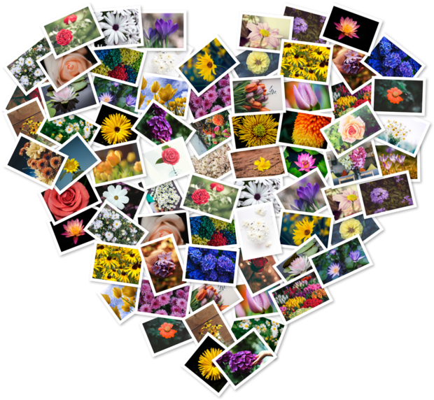 Figrcollage 2 Home Edition En Mac App Store - Figrcollage 2.5 9 (630x630), Png Download