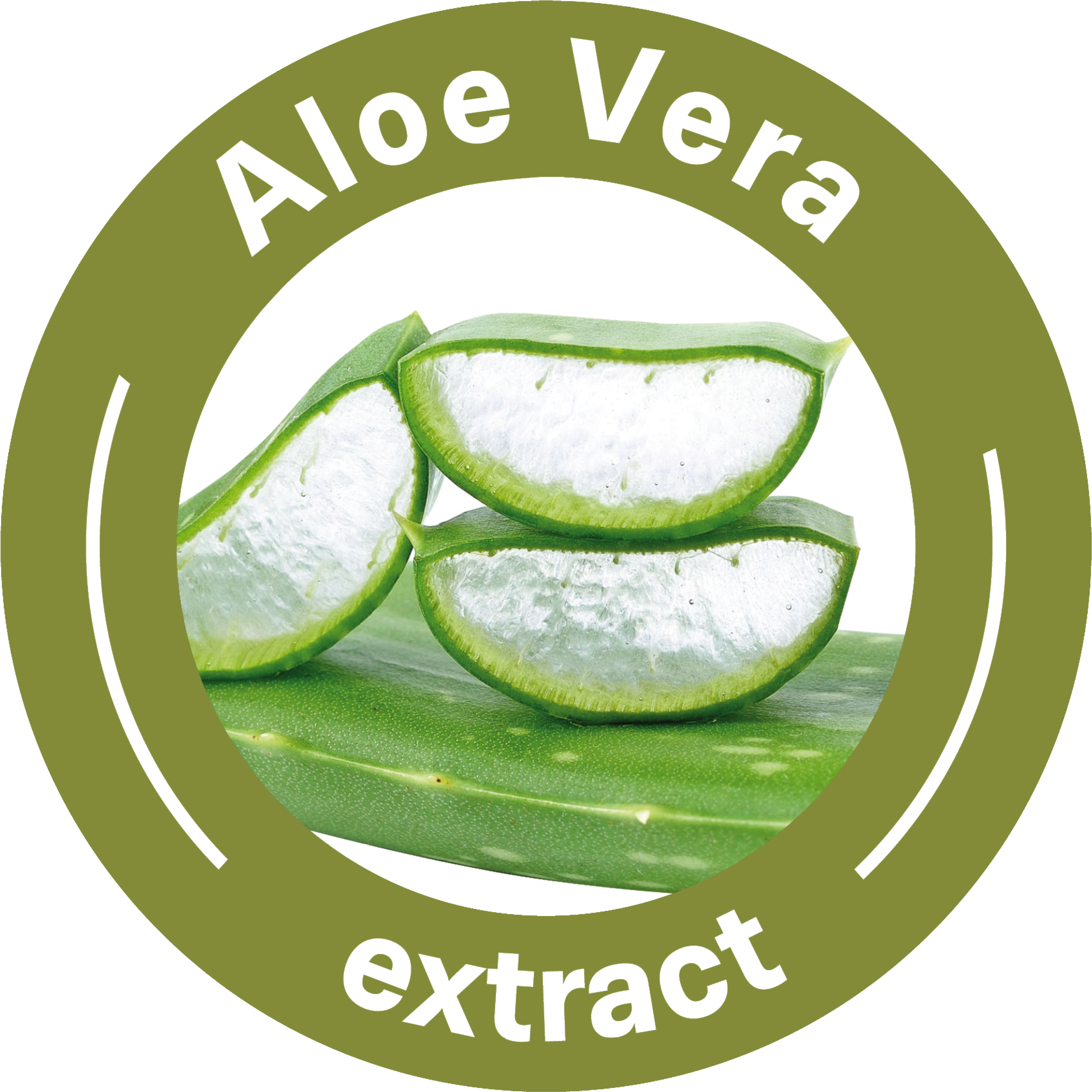 Aloe Vera Textile - Aloe Vera Extract Icon (3333x3333), Png Download