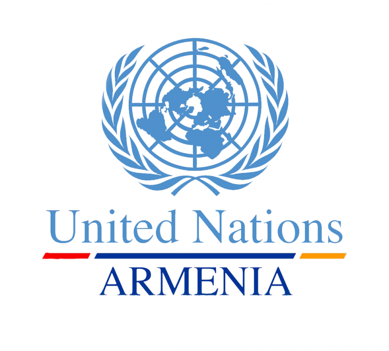 The Un&rsquos New Global Development Agenda And Its - United Nations Armenia Logo (800x722), Png Download