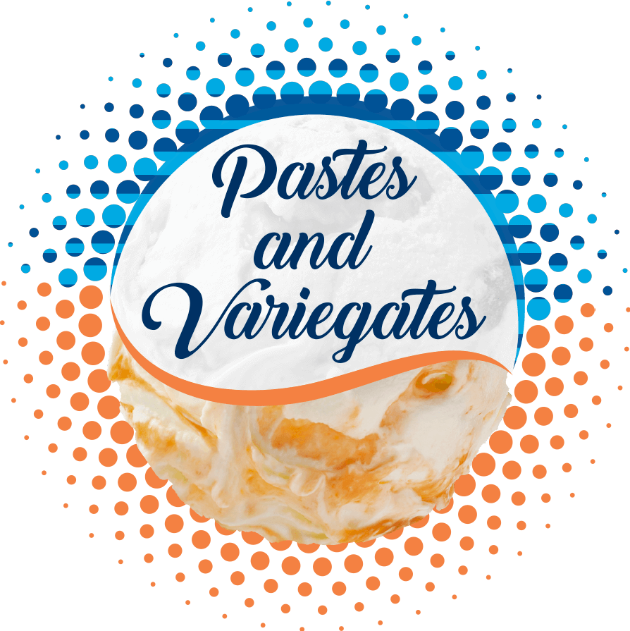 Halftone Circle (894x895), Png Download