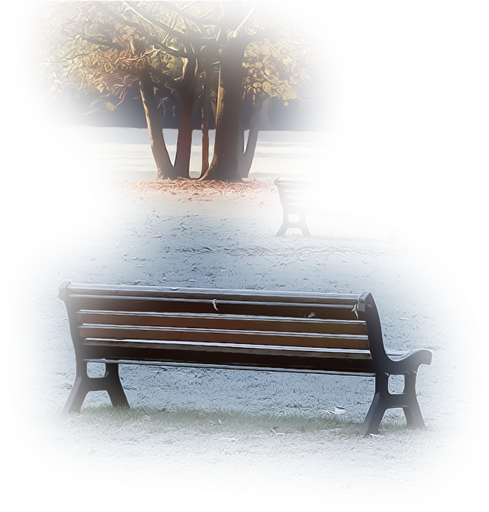 Tree Park Bench Garden Field Nature Foreground Backgrou - Bench (1024x1024), Png Download