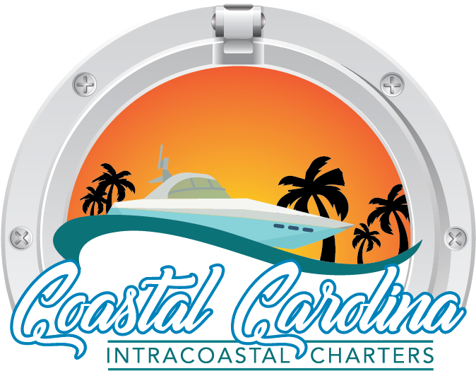 Circle (720x720), Png Download