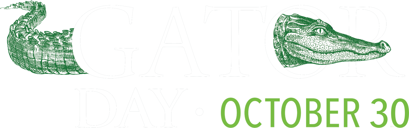 American Crocodile (1920x633), Png Download