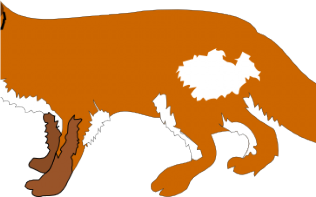 Cartoon Fox (640x480), Png Download