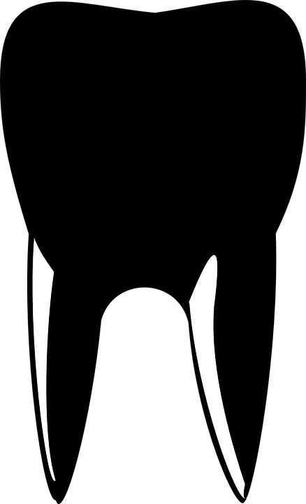 Tooth Clipart Vector Tooth Clipart Vector Tooth Clipart - Black Teeth Clipart (438x720), Png Download