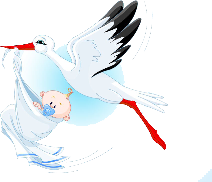 Pigeons And Doves (1024x765), Png Download