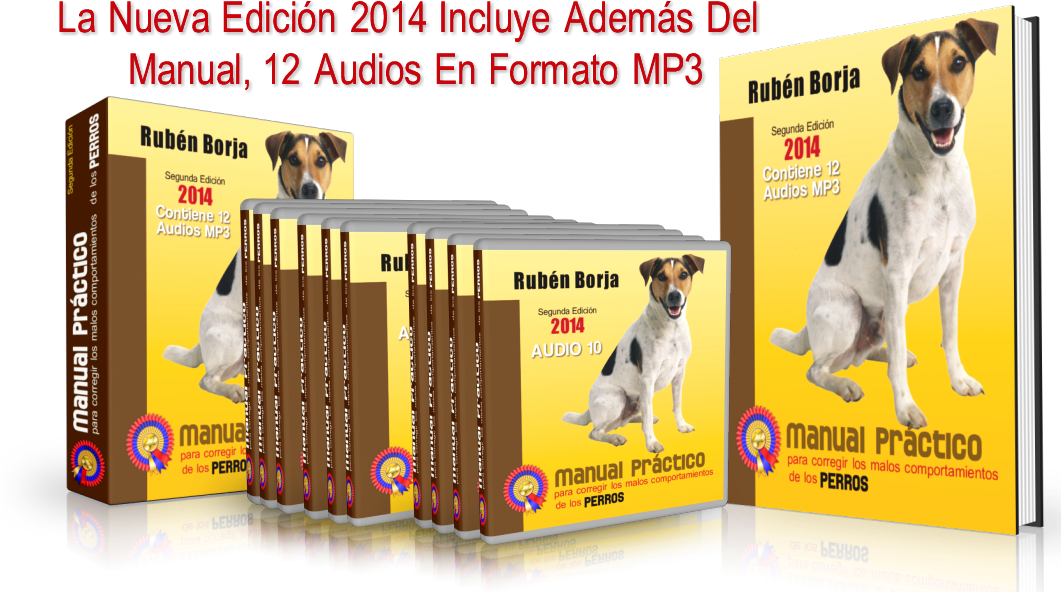 Pack - Animals (1060x694), Png Download