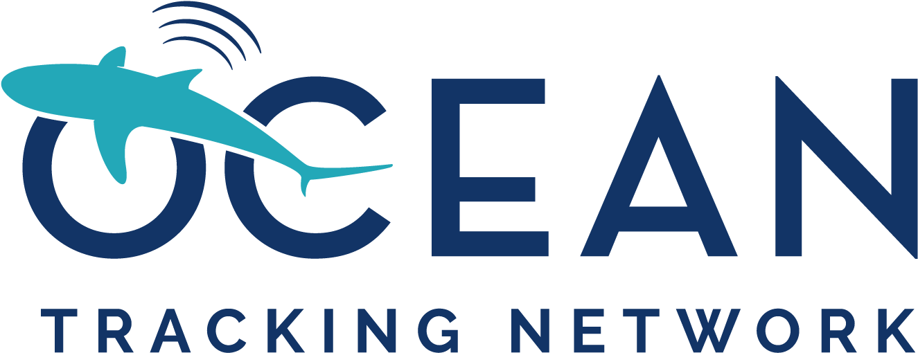 Colour Png - Graphic Design (1400x560), Png Download