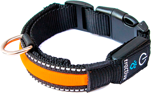 Collar Para Perros Led Tractive - Accesorio De Perro Png (680x547), Png Download