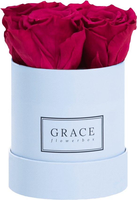 Garden Roses (865x1200), Png Download