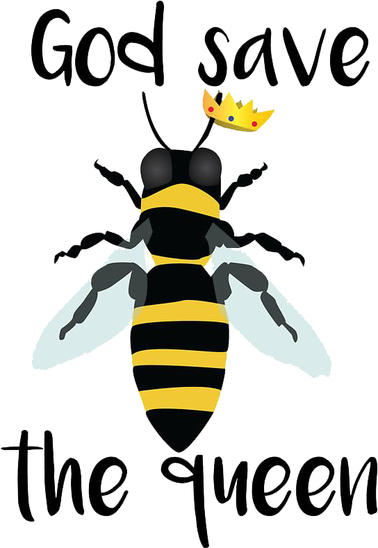 Bee Pollinators - T-shirt (562x800), Png Download