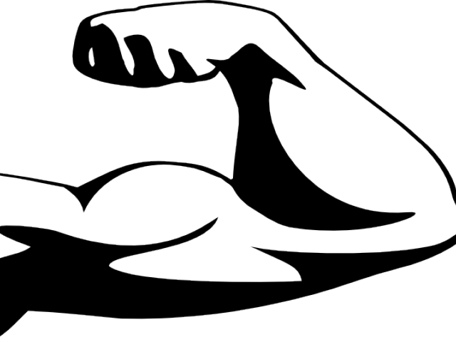 Arm Muscles Transparent Background (640x480), Png Download