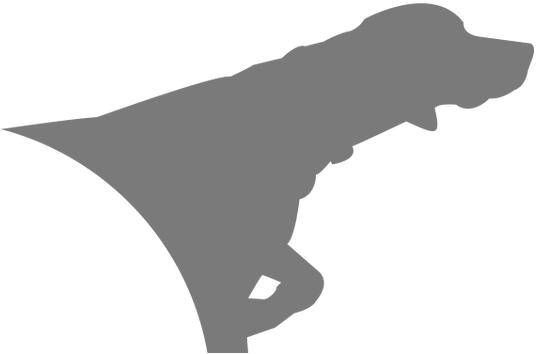 Our 2018-2019 Season Runs From Friday, September 15th - Silhouette (564x564), Png Download