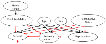 Complete Probabilistic Model Of The Arctic Foxes - Circle (675x506), Png Download