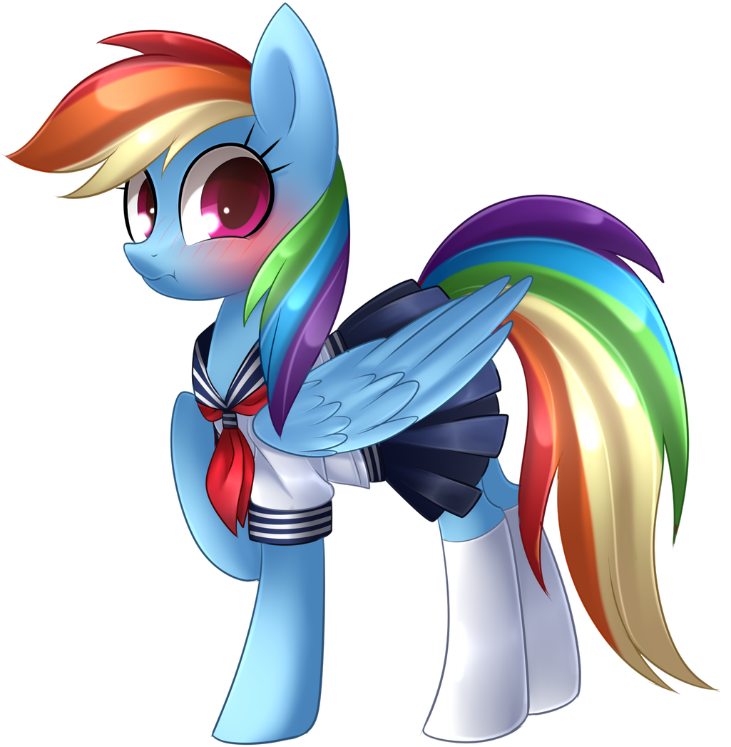 Muhammad Ali 🇵🇰 On Twitter - Rainbow Dash (1025x1047), Png Download