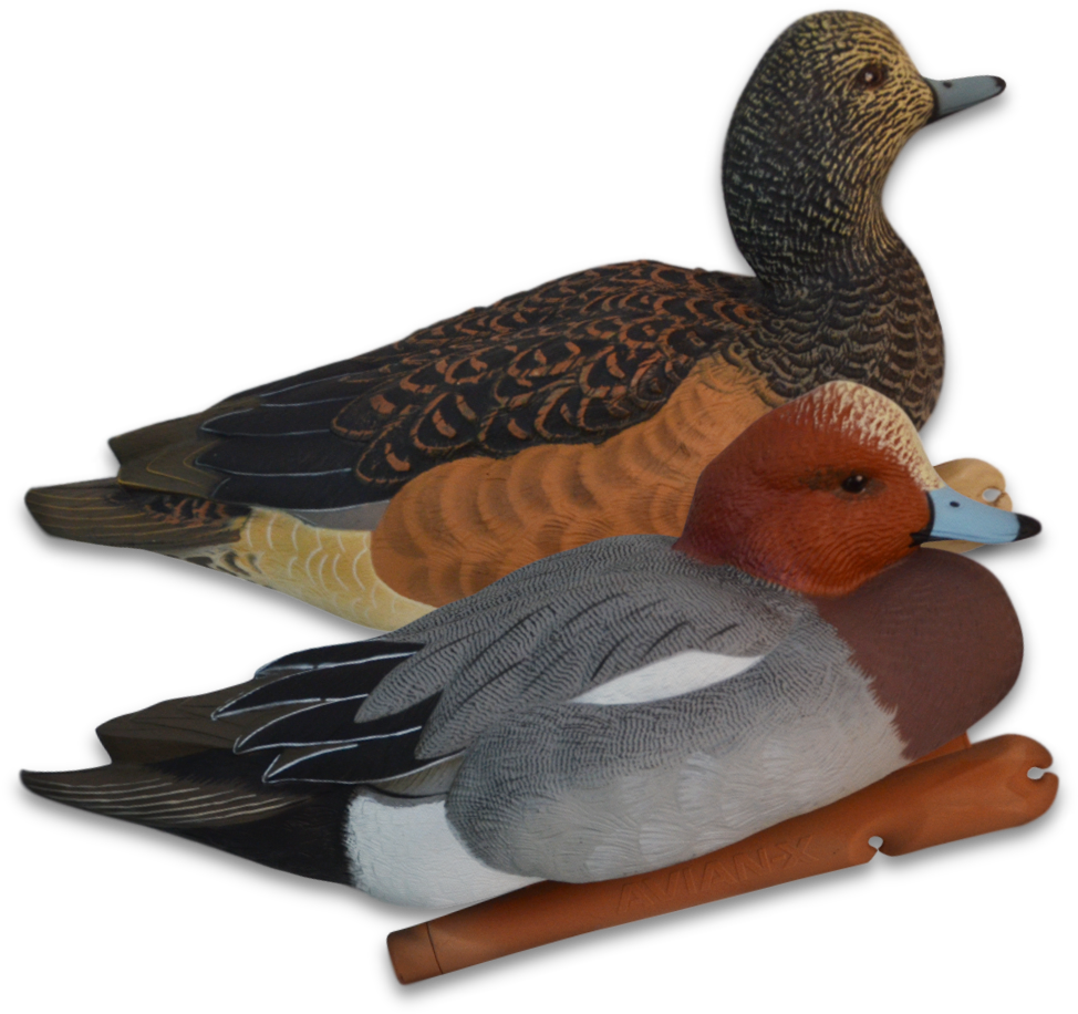 Image Of The Avian-x Widgeon Decoys - Pibeænder Lokker (1000x1000), Png Download