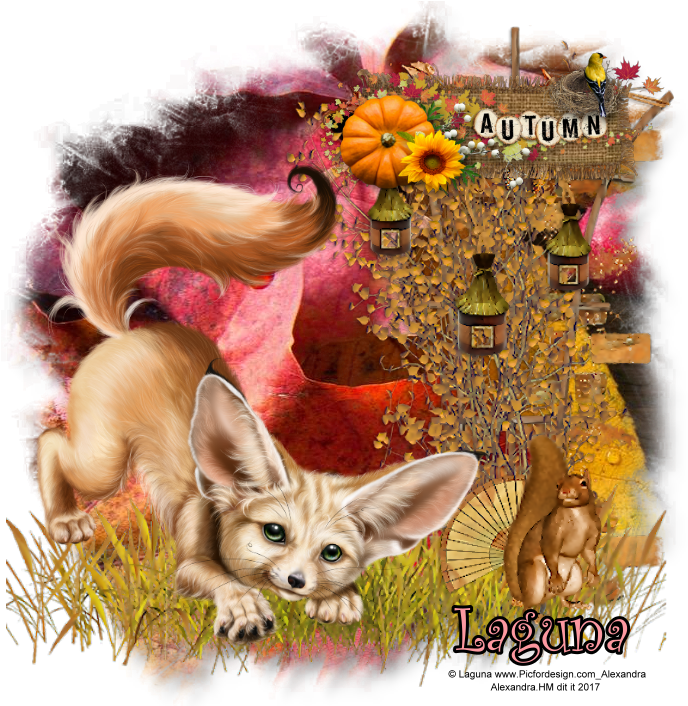 Juli - Fennec Fox (710x710), Png Download