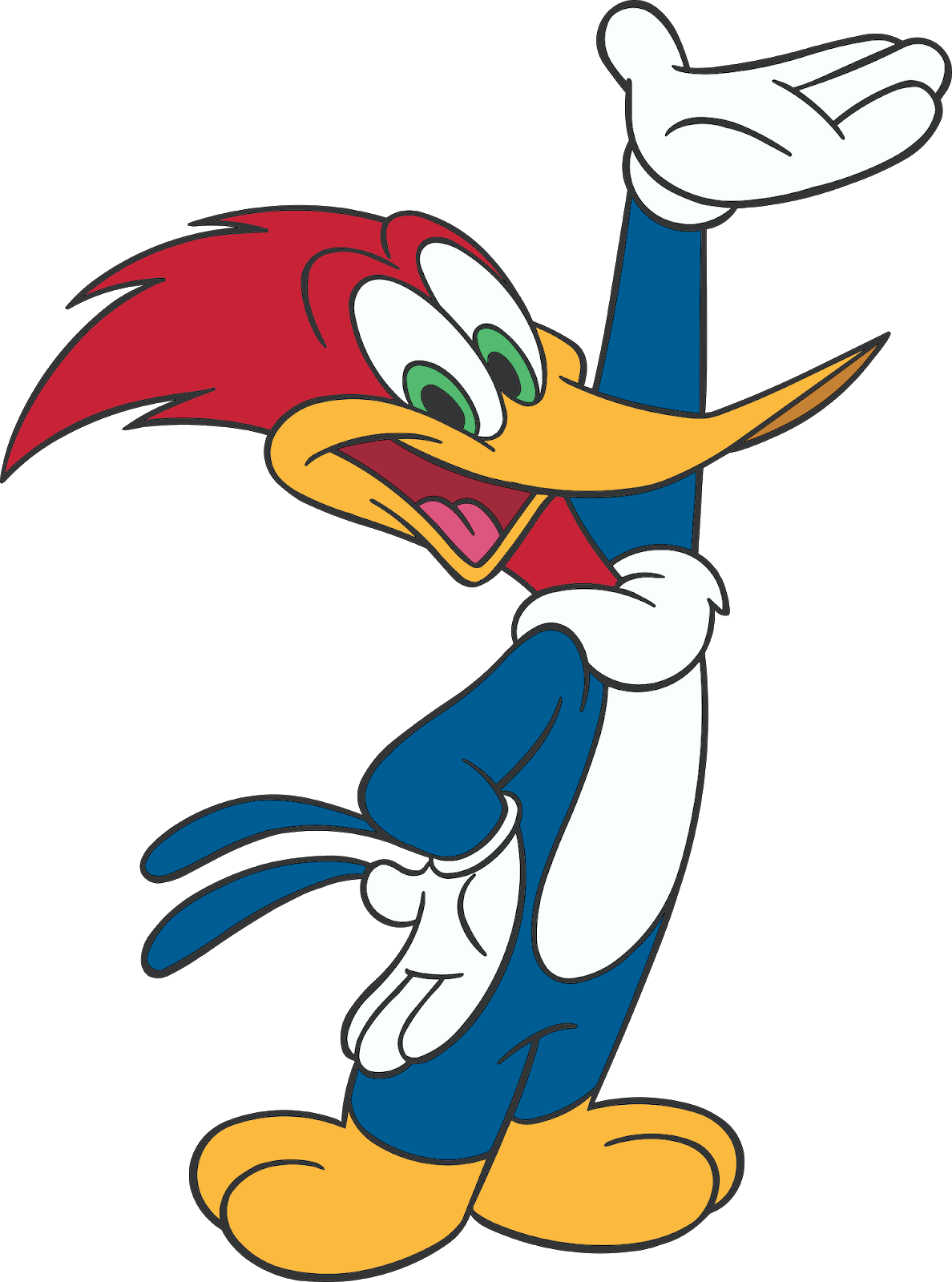 Woody Woodpecker Characters, Woody Woodpecker Cartoon - Woody Woodpecker Drawing (1188x1600), Png Download