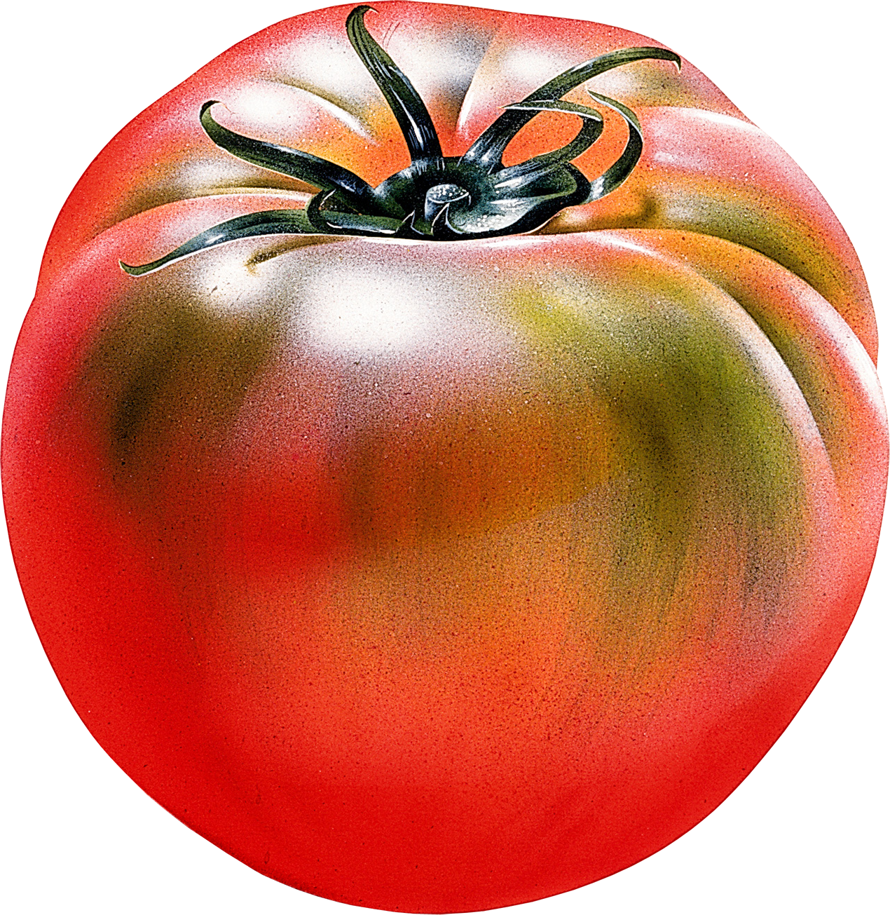 Red Tomatoes - 番茄 麥克 筆 (1270x1305), Png Download