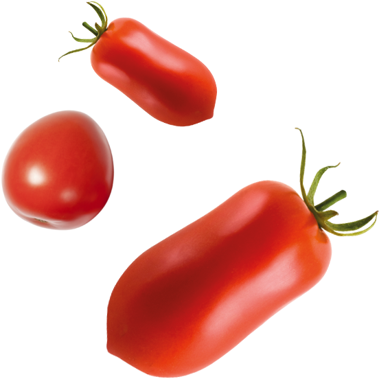 Tomatoes Taglierina With Manual Supply - Plum Tomato (768x970), Png Download